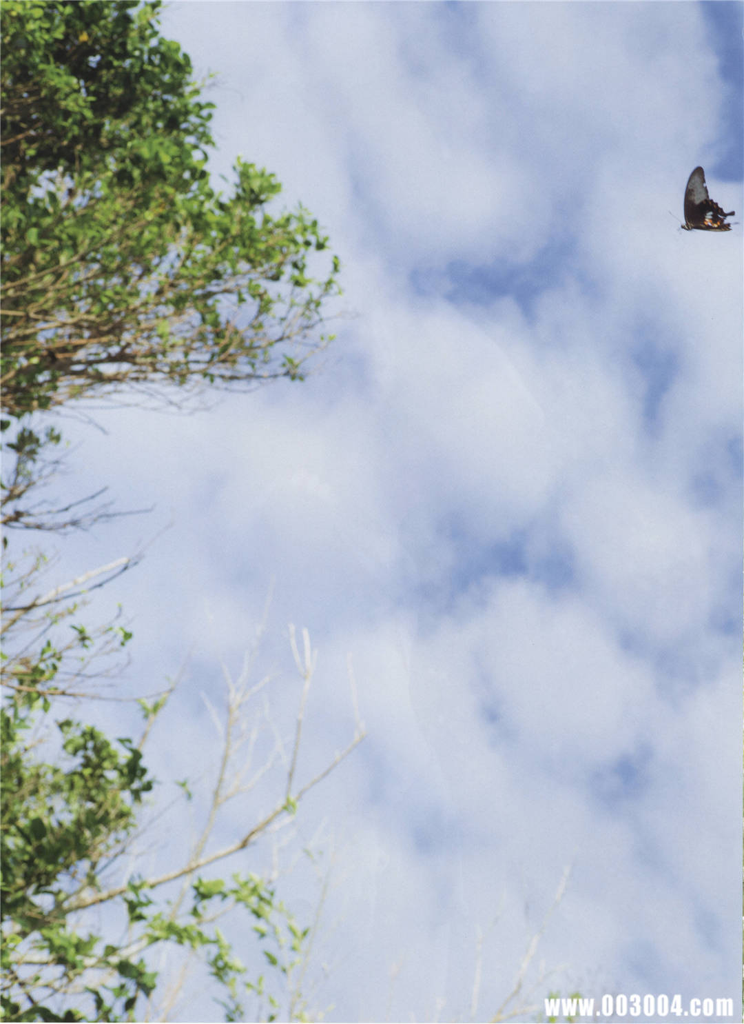 中村爱美 写真集 《Lyin Eyes》高清全本