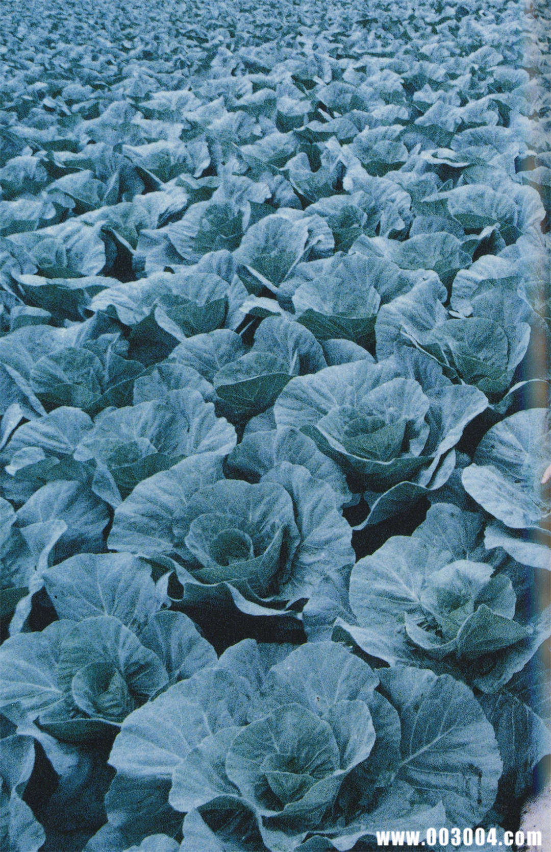 永井流奈写真集《Accidents Series 5》高清全本