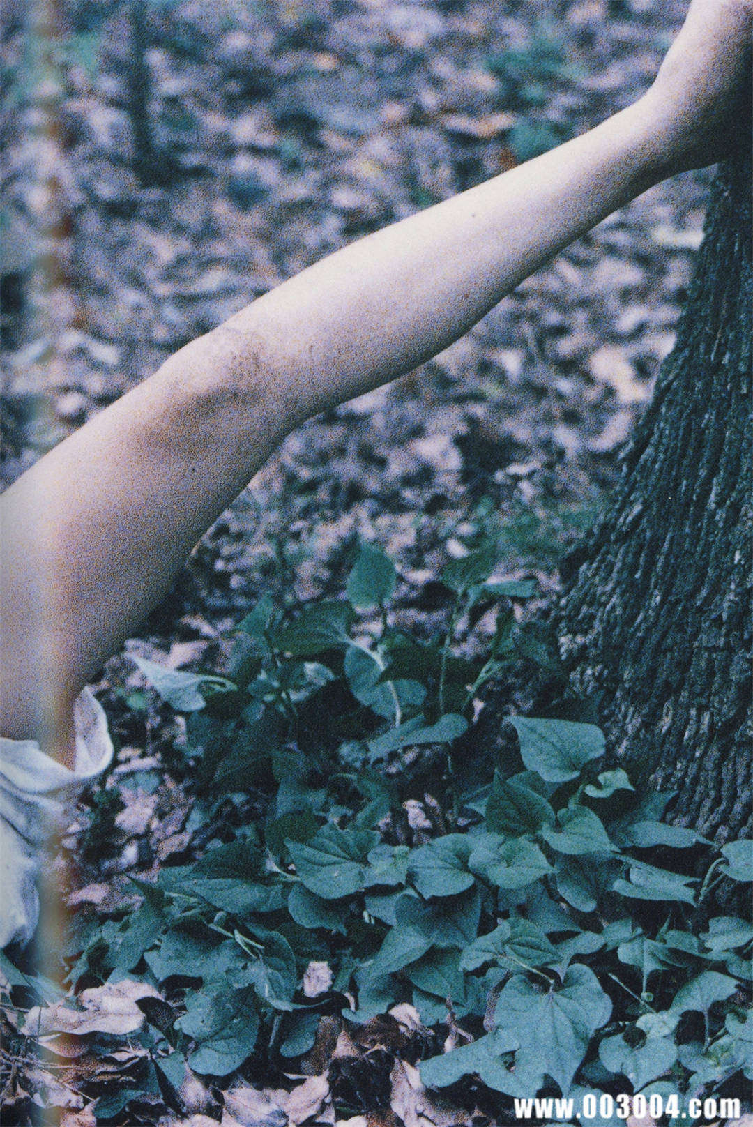 永井流奈写真集《Accidents Series 5》高清全本