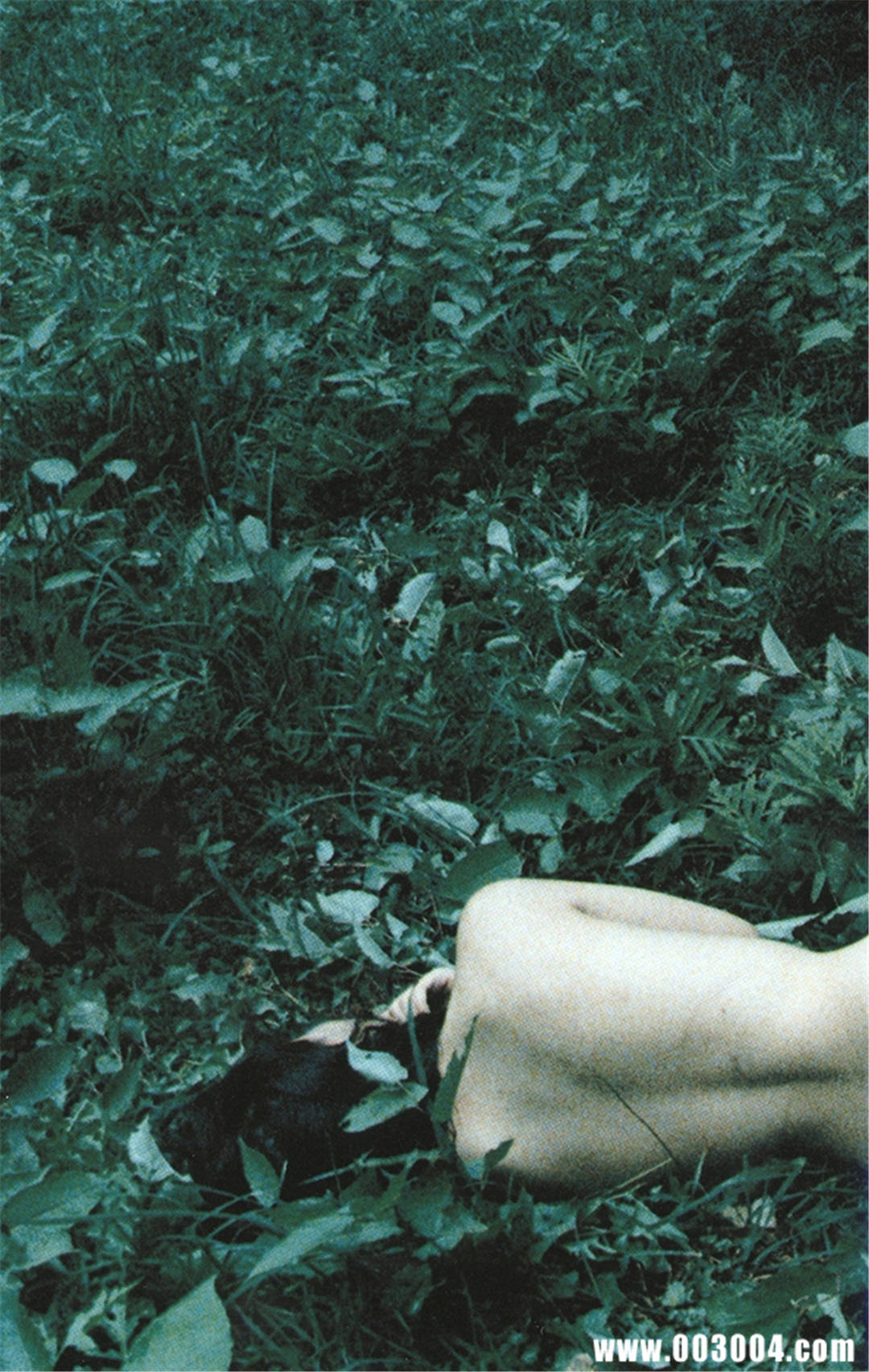 永井流奈写真集《Accidents Series 5》高清全本