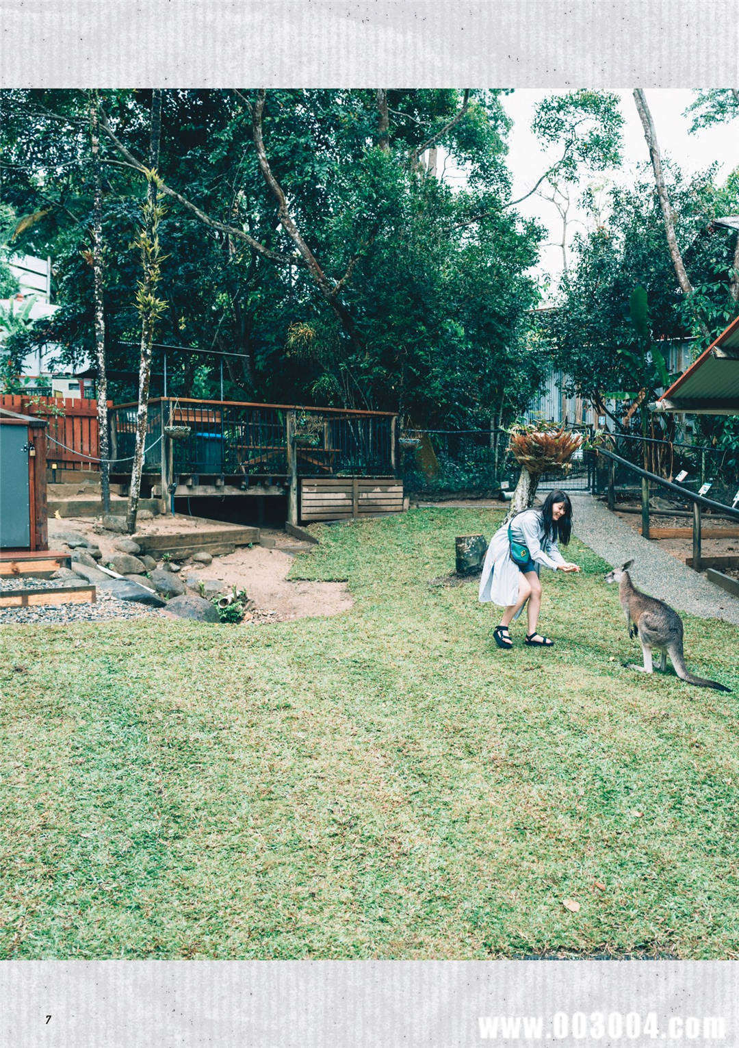 马场富美加首部旅行书《马场ふみか ばばたび》：沉浸在树熊的拥抱中！