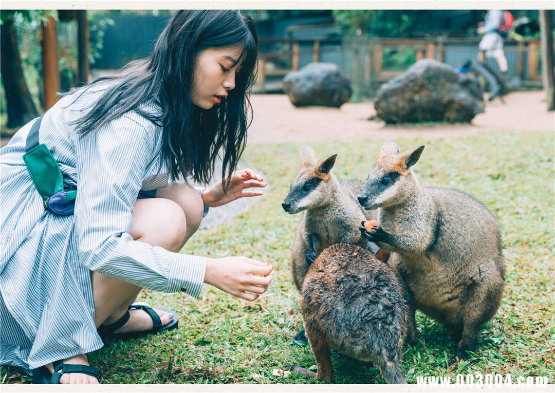 马场富美加首部旅行书《马场ふみか ばばたび》：沉浸在树熊的拥抱中！
