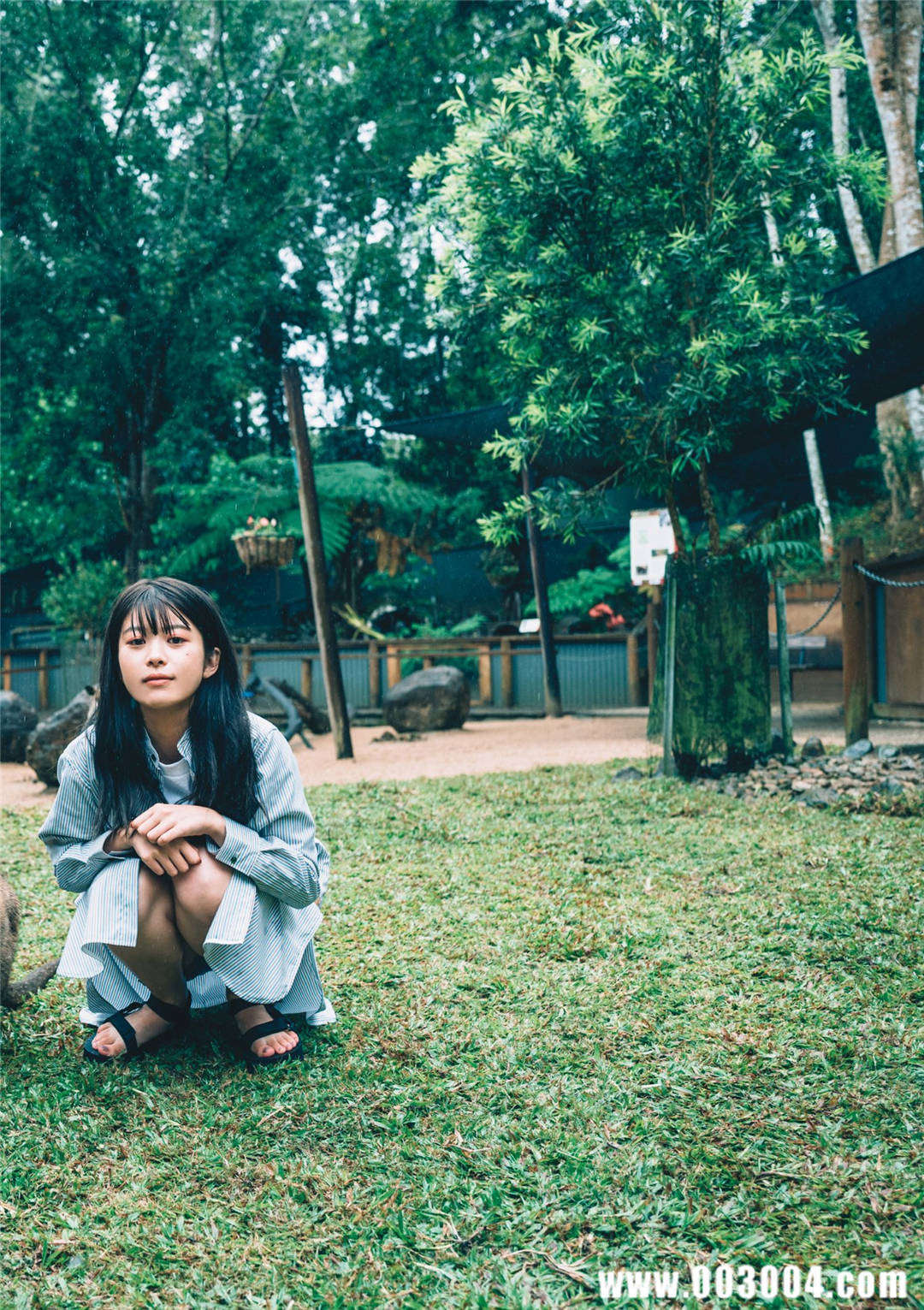 马场富美加首部旅行书《马场ふみか ばばたび》：沉浸在树熊的拥抱中！