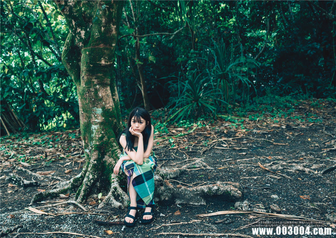 马场富美加首部旅行书《马场ふみか ばばたび》：沉浸在树熊的拥抱中！