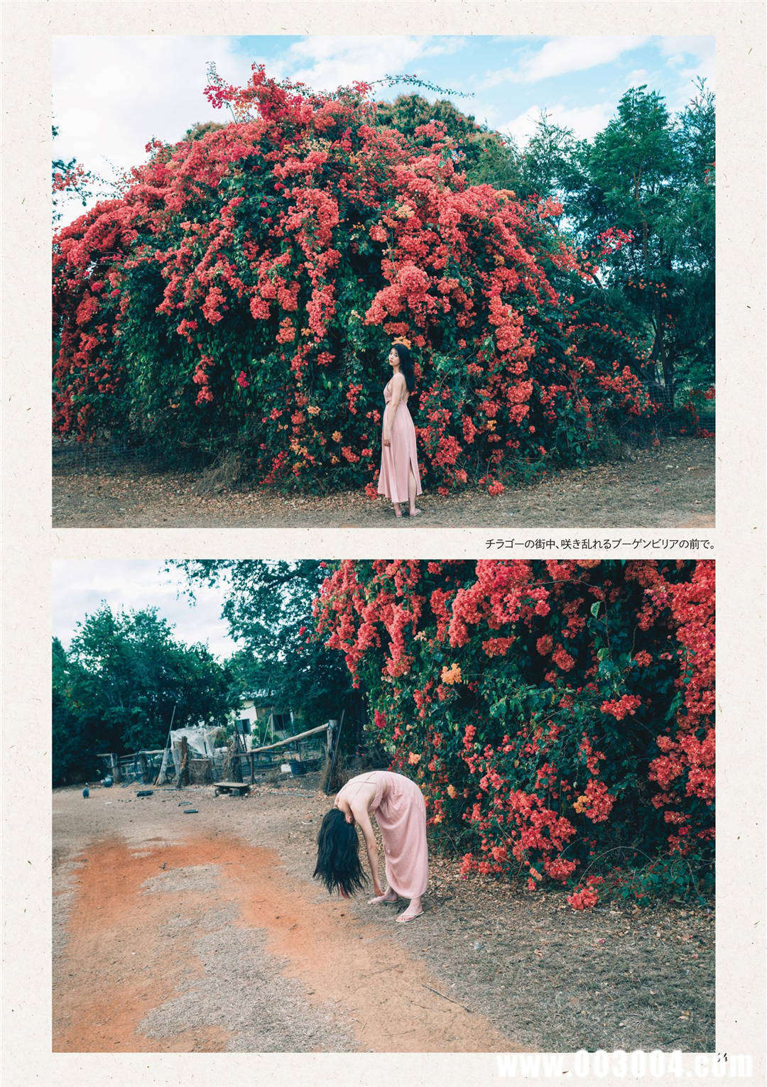 马场富美加首部旅行书《马场ふみか ばばたび》：沉浸在树熊的拥抱中！