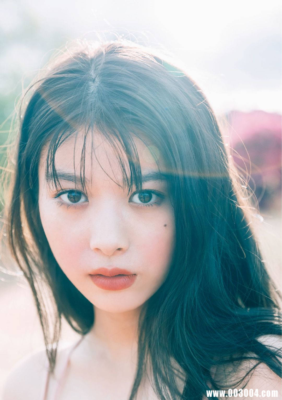 马场富美加首部旅行书《马场ふみか ばばたび》：沉浸在树熊的拥抱中！