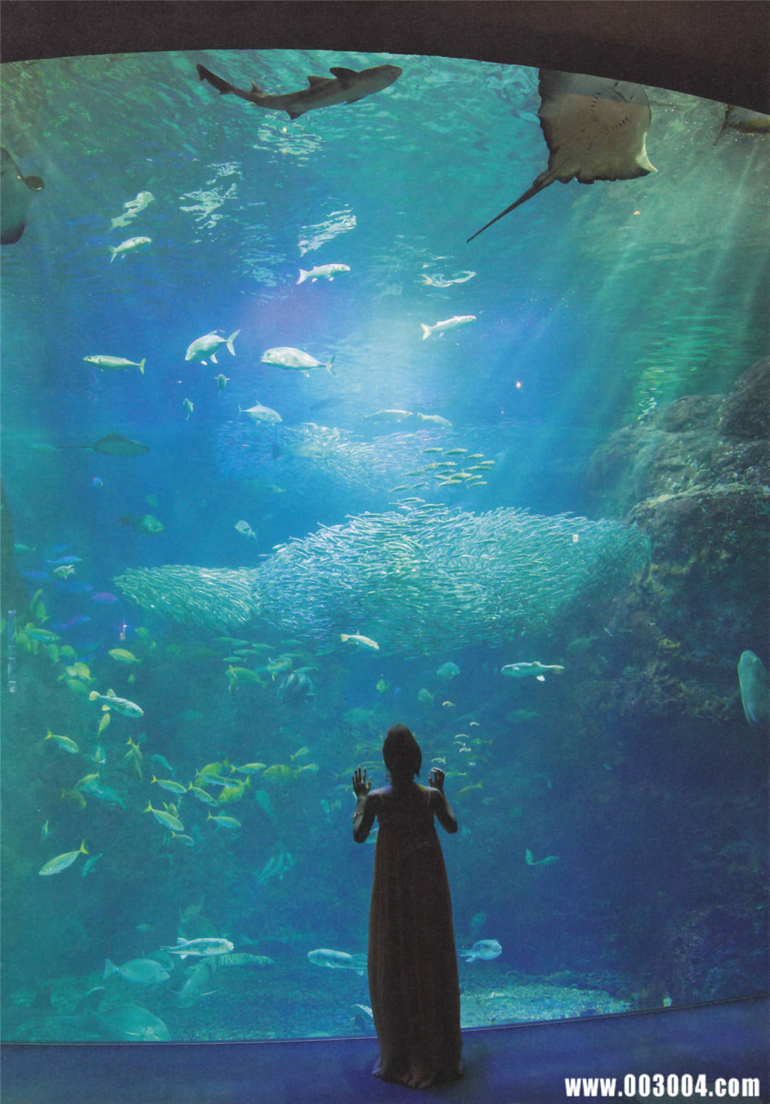 板野友美AKB48卒业写真集《ともちん》高清全本