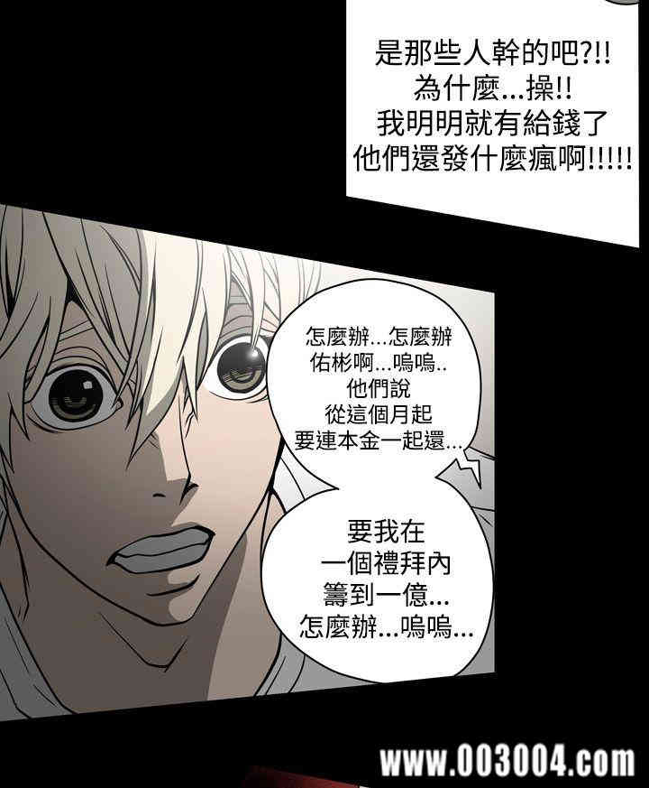 ACE禁断的诈欺之夜