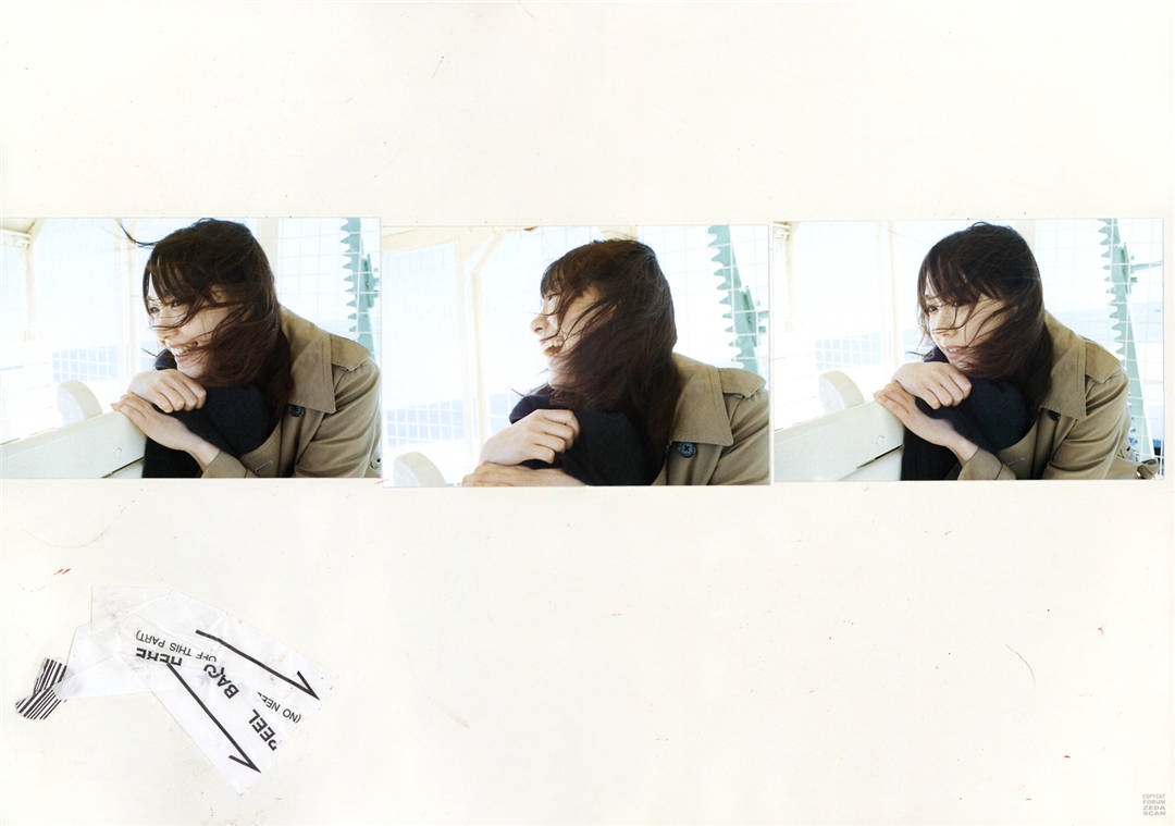 新垣结衣图集《SPECIAL SHINGO WAKAGI》