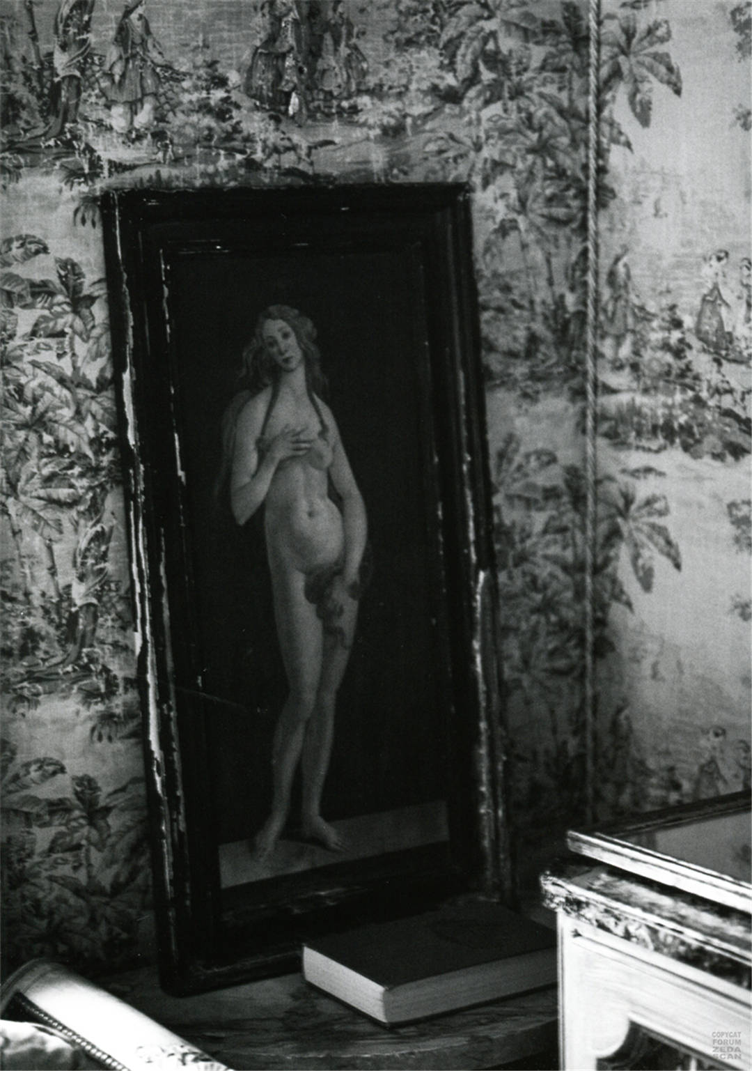 新垣结衣图集《SPECIAL SHINGO WAKAGI》