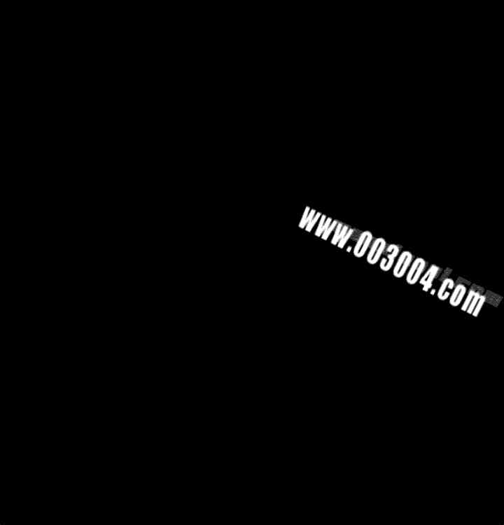 Thrill Girl(帮派女婿)