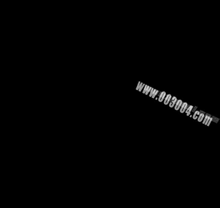 Thrill Girl(帮派女婿)