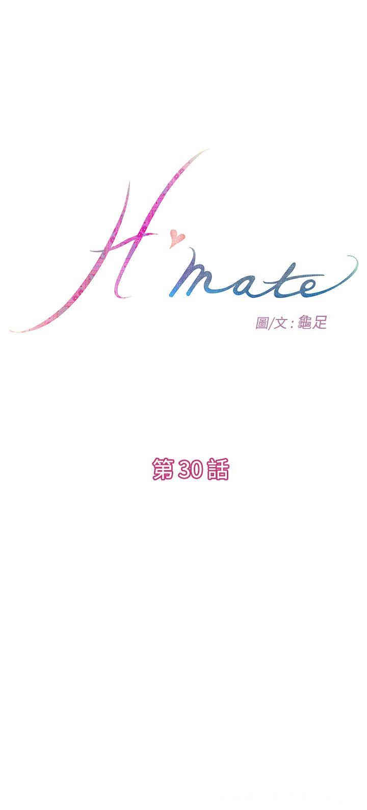 H-Mate