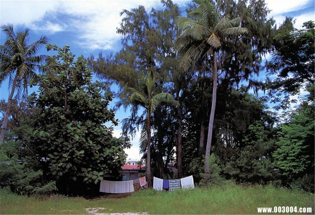 永井流奈写真集《少女果实》高清全本