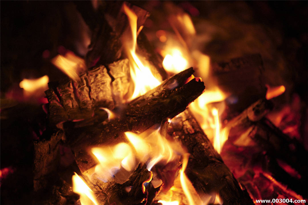 北向珠夕写真集《「野生の証明」[微風]》高清全本