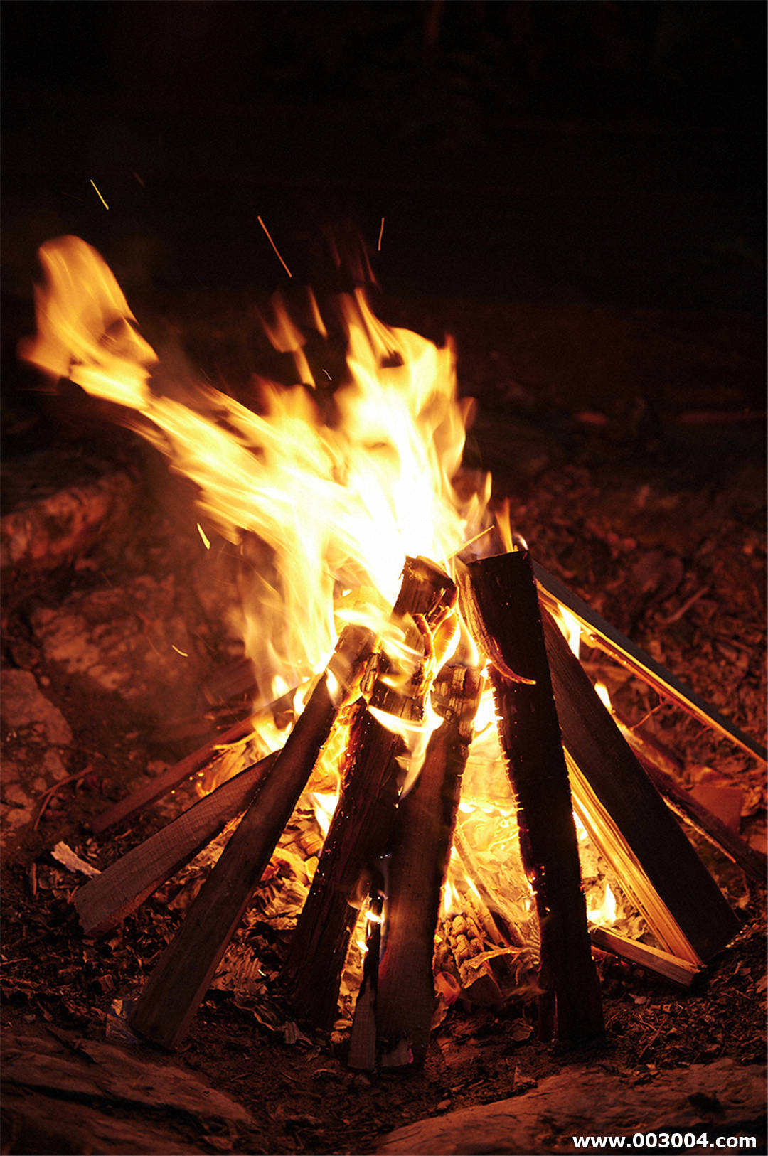 北向珠夕写真集《「野生の証明」[微風]》高清全本