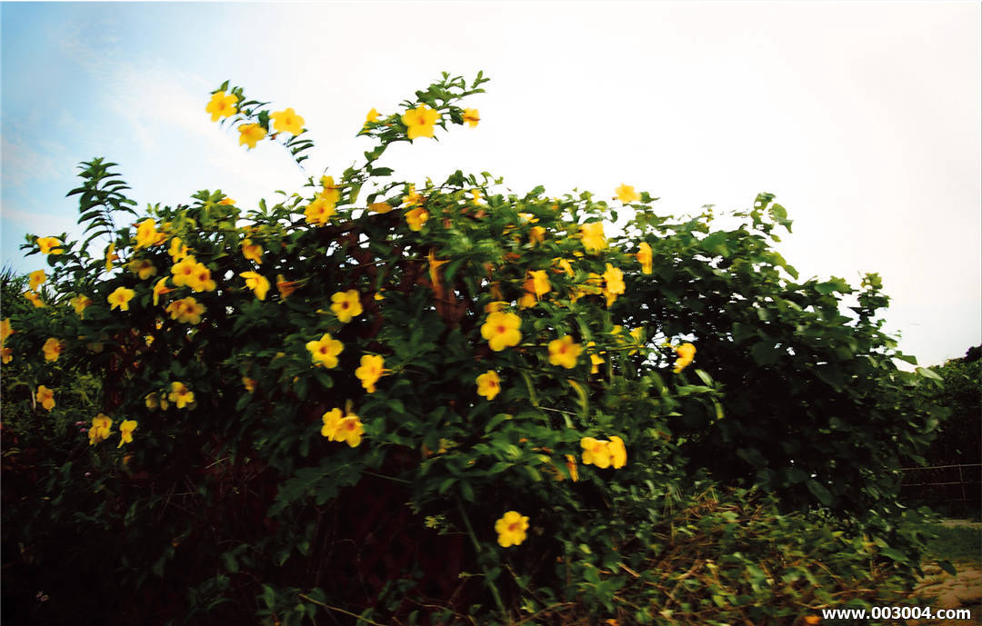 菜菜绪写真集《1028_24 NANAO 菜々緒 超絶美脚》高清全本