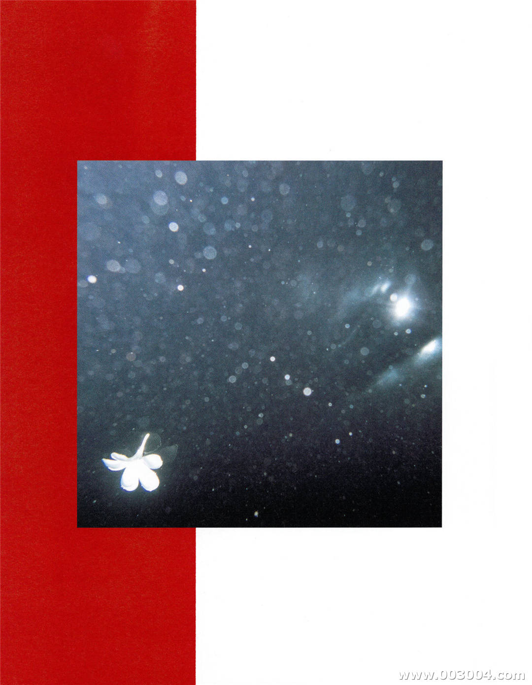 新内真衣1st写真集《どこにいるの》高清全本