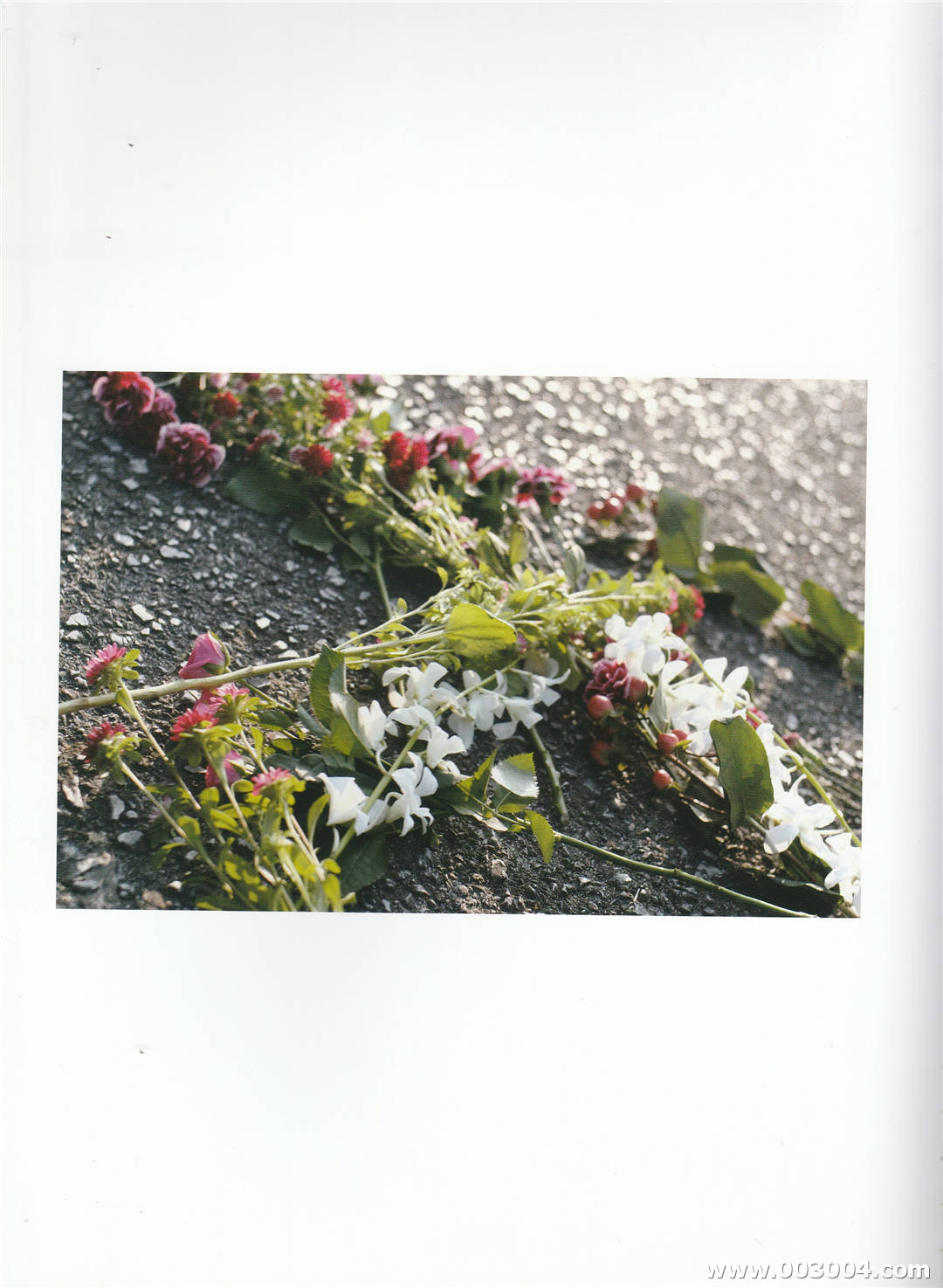 太田梦莉1st写真集《 Nostaltimental 》高清全本