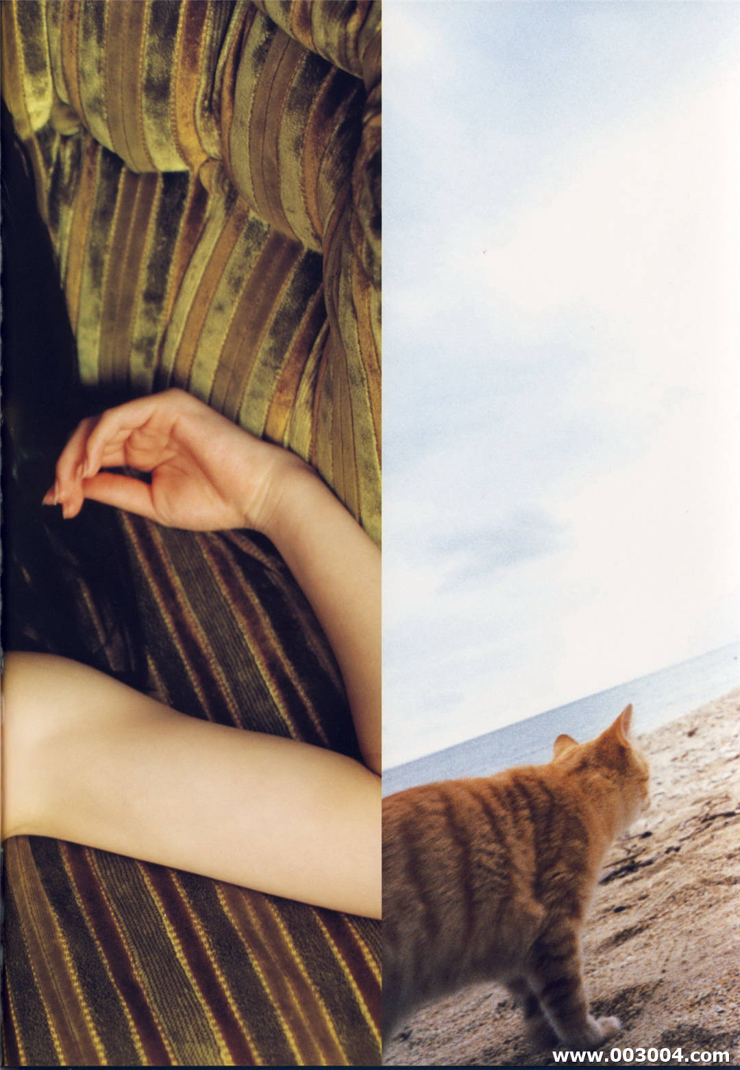 矢岛舞美写真集《舞美》高清全本