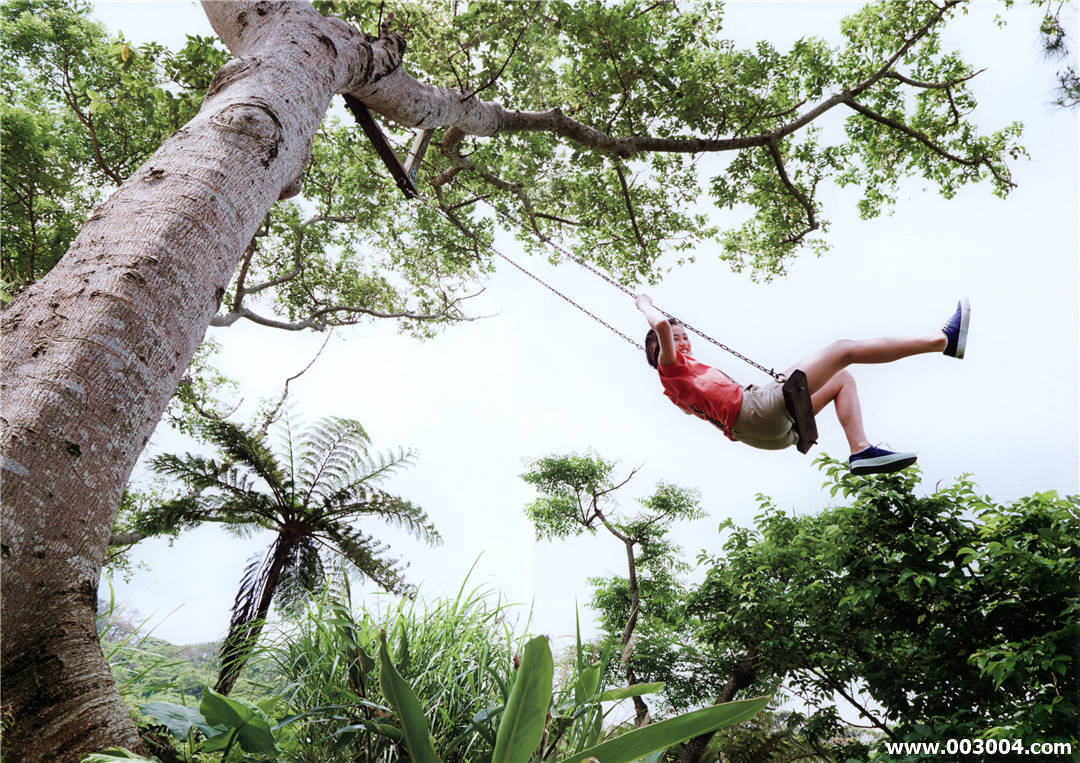 奇迹女孩 | 佐佐木莉佳子写真集《 RIKAKO 》高清全本