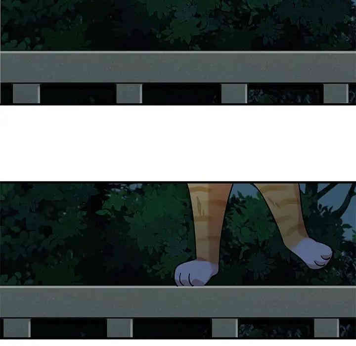 闯入我们家的H先生