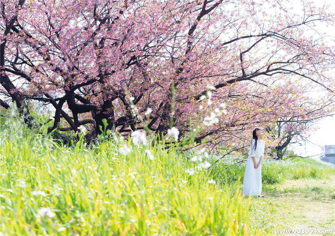 西马妮可 | 黑崎蕾娜1st写真集《 麗 》高清全本