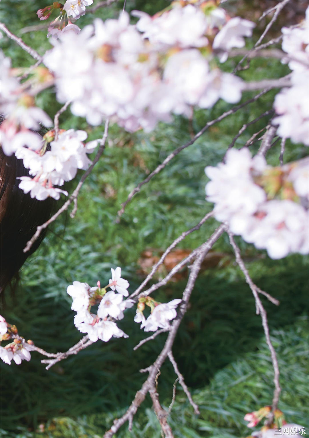 大原优乃写真集《吐息》高清全本