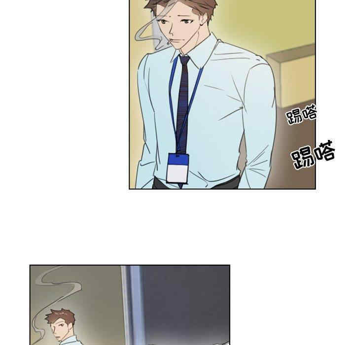 职场X乐园/职场秘密恋情