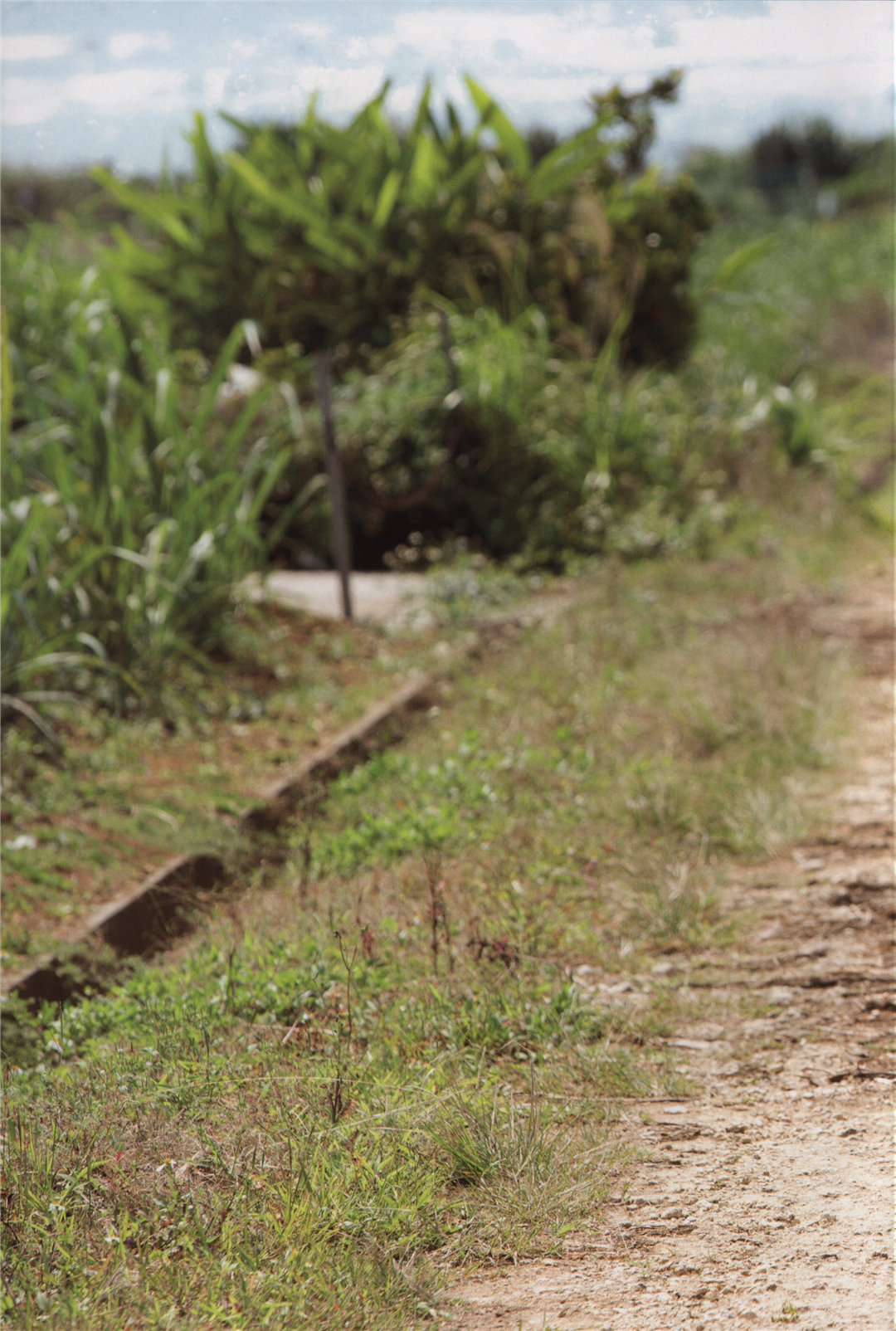 宫本佳林1ST写真集《佳林》高清全本
