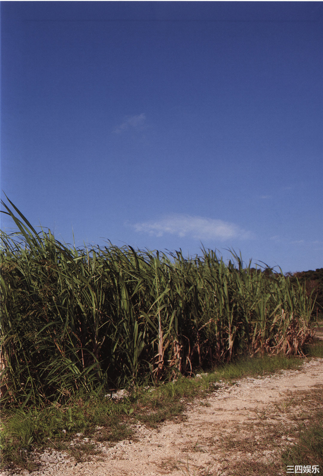 和田彩花写真集《彩 aya》高清全本