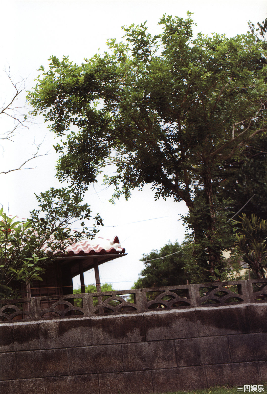 和田彩花写真集《彩 aya》高清全本