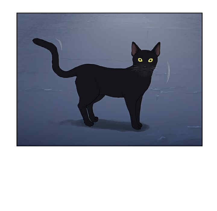 被女神环绕的男人