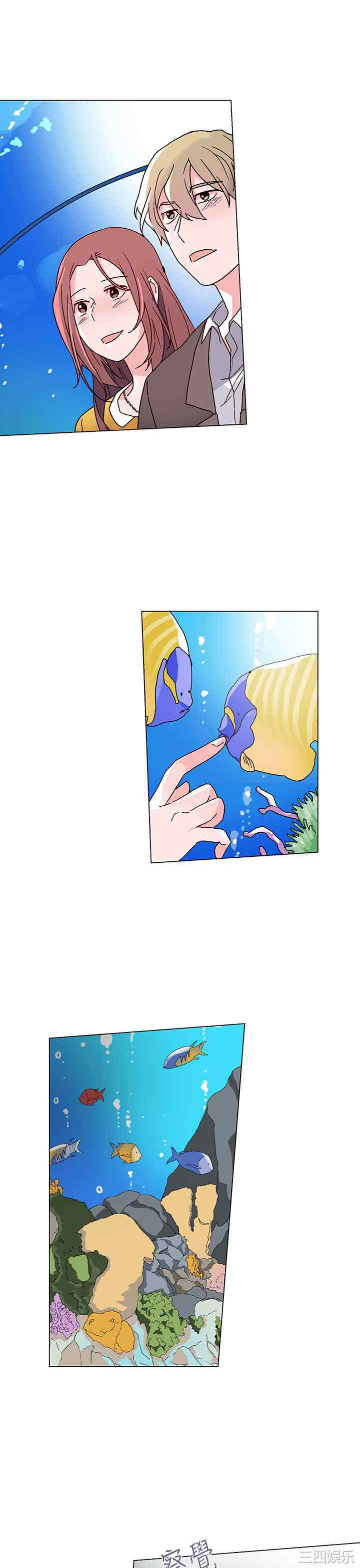 灰姑娘的哥哥们