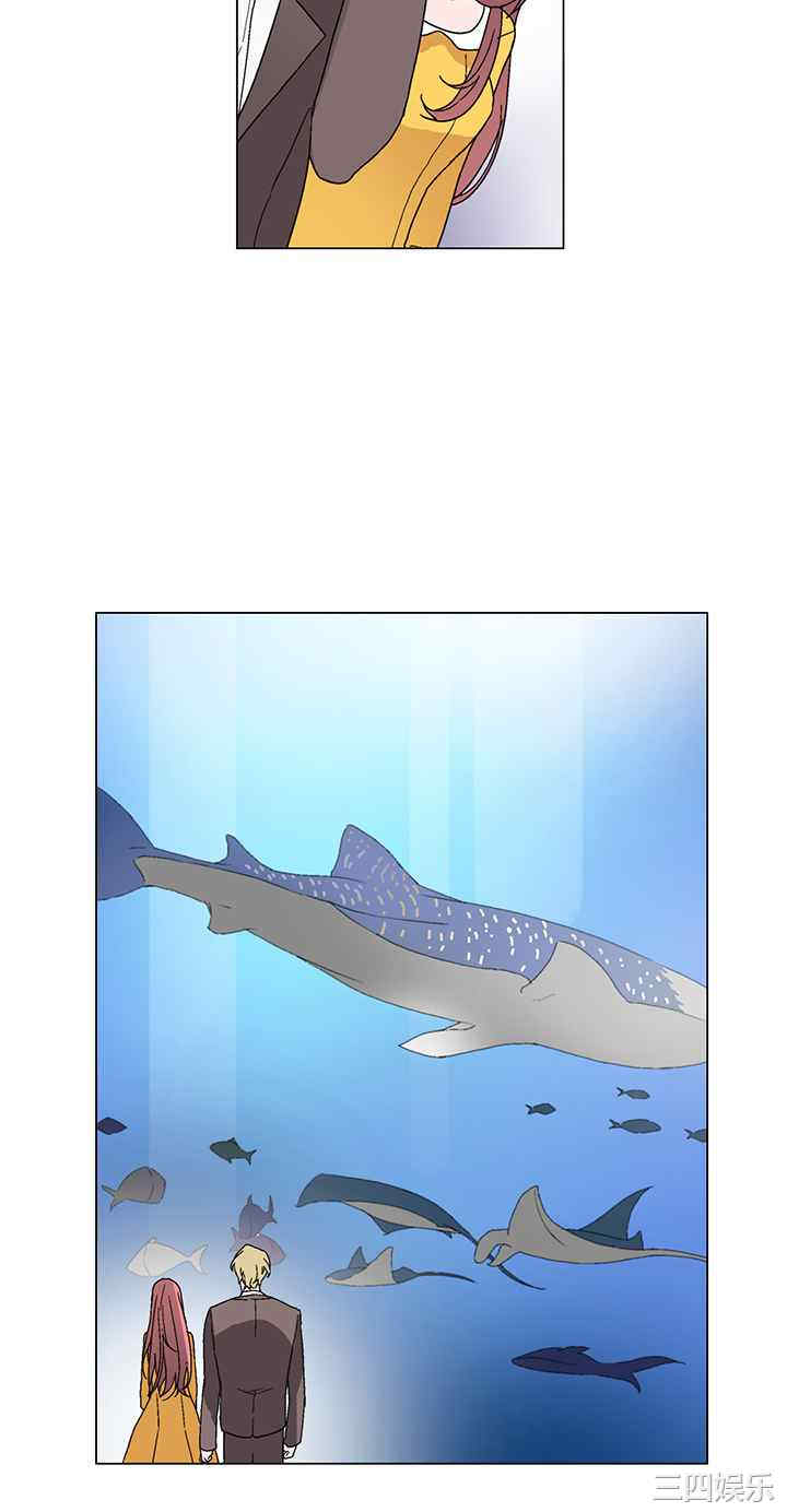 灰姑娘的哥哥们