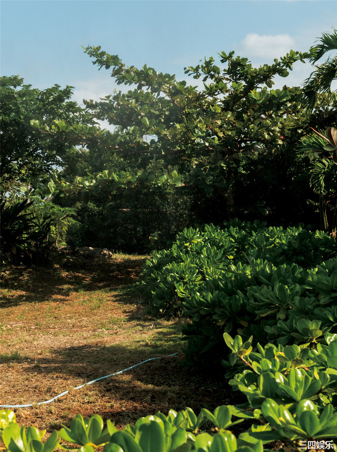 林ゆめ1ST写真集《ゆめみごこち》高清全本