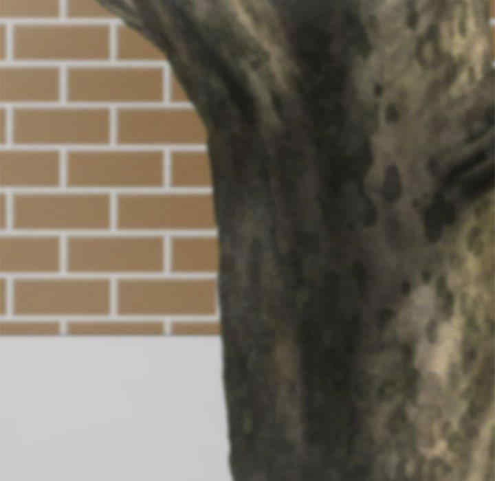 我家的女人们/儿子的乐园