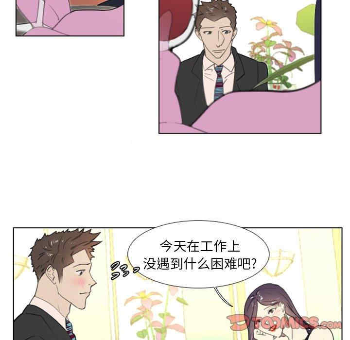 职场X乐园/职场秘密恋情