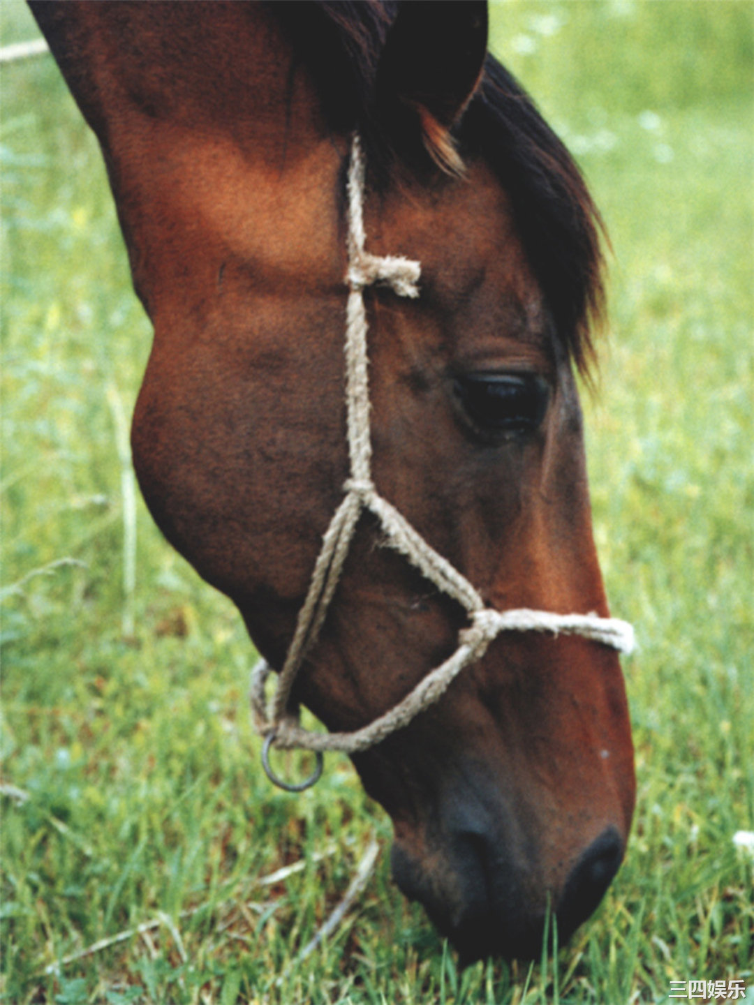 小仓优子写真集《優Q天国》高清全本