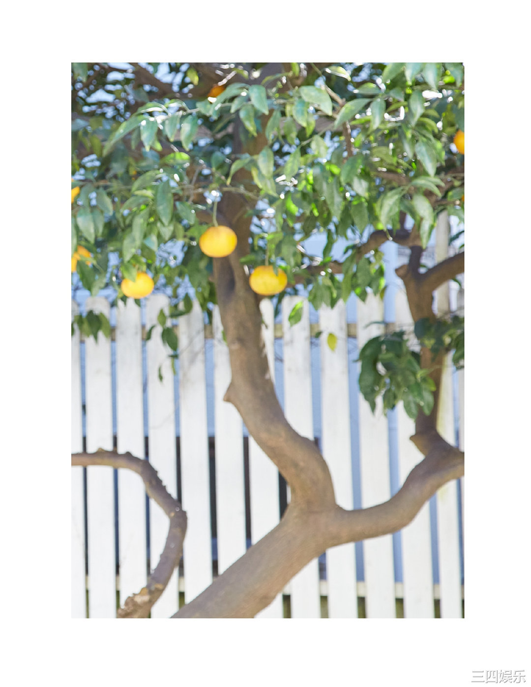 诹访奈奈香1st写真集《Suwa once upon a time》高清全本