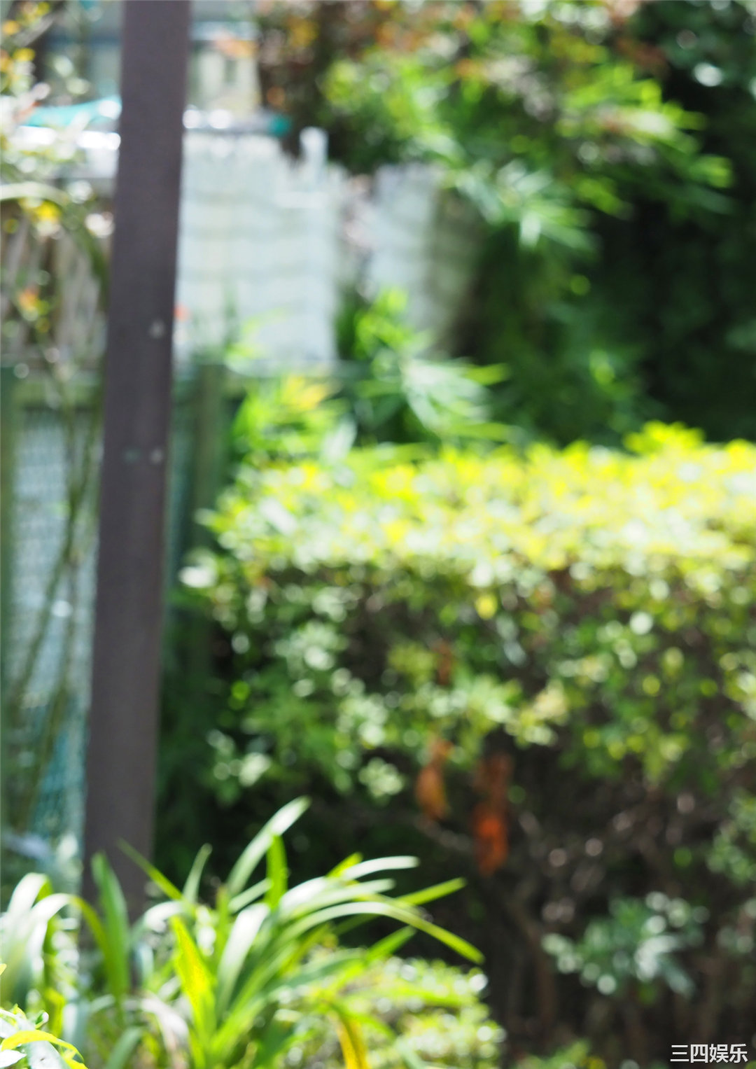 都丸纱也华写真集《ヴィーナスの眼差し》高清全本