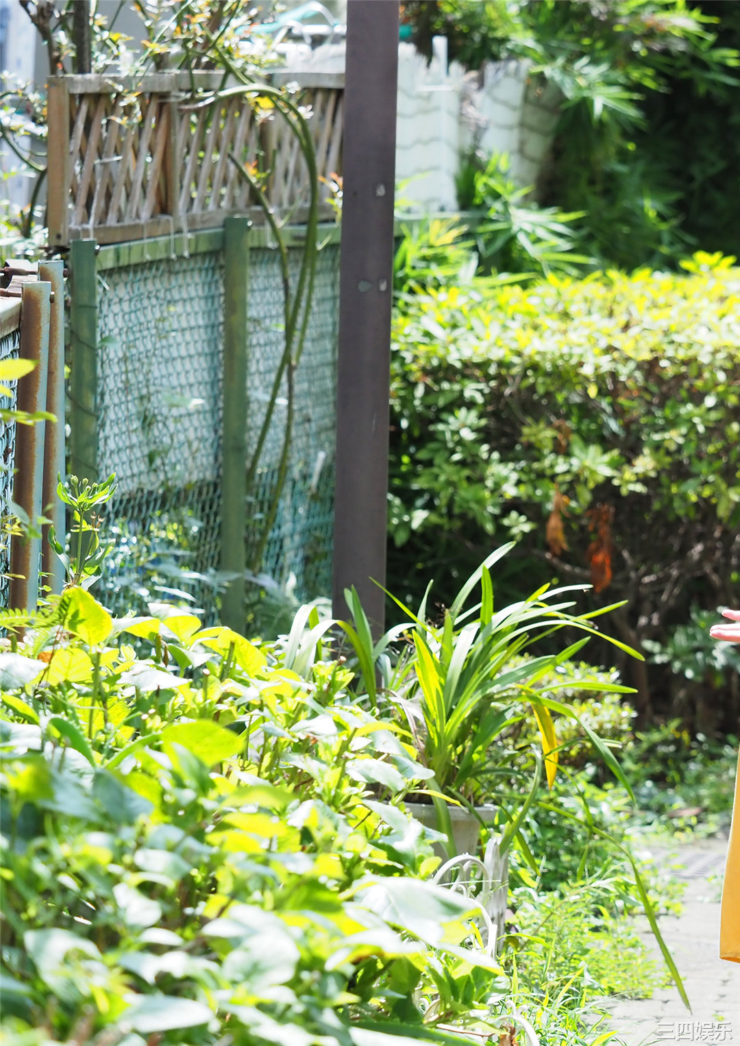 都丸纱也华写真集《ヴィーナスの眼差し》高清全本