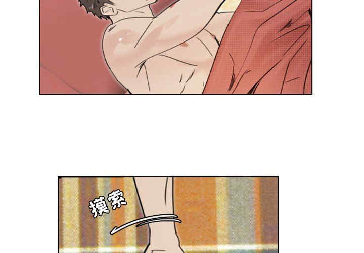 职场X乐园/职场秘密恋情