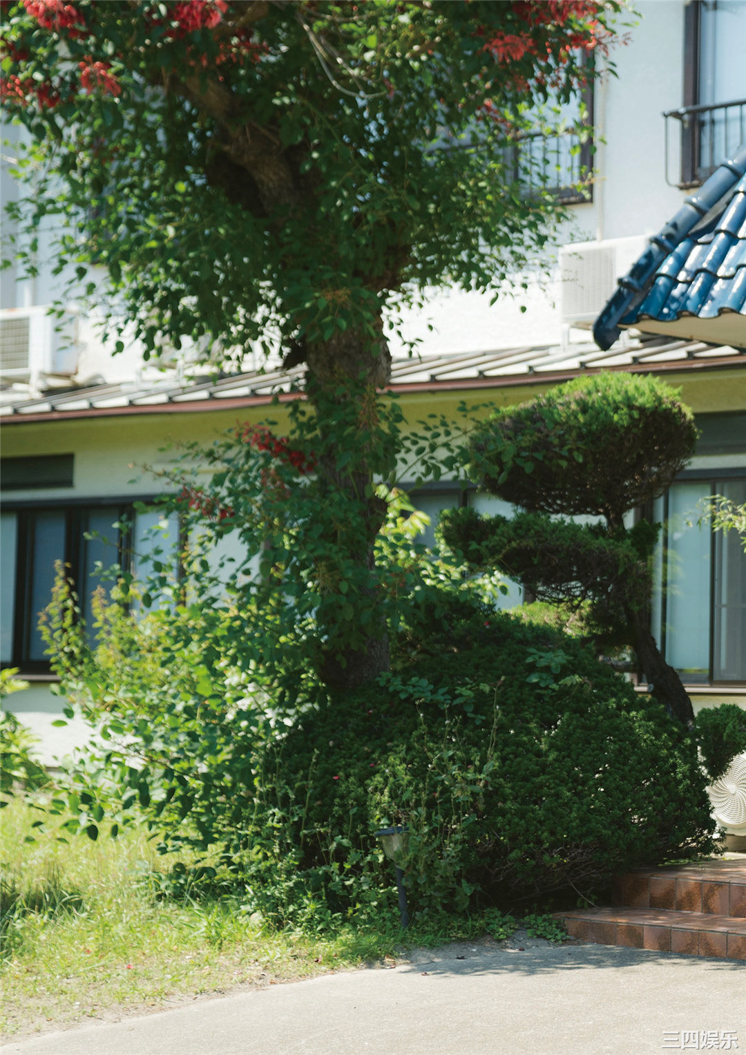 丰田露娜写真集《想わば、ゆえに君の町まで。》高清全本