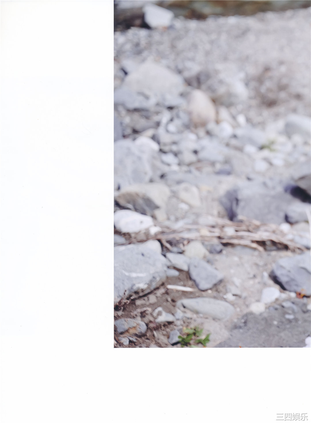 吉冈里帆写真集《里帆採取》高清全本