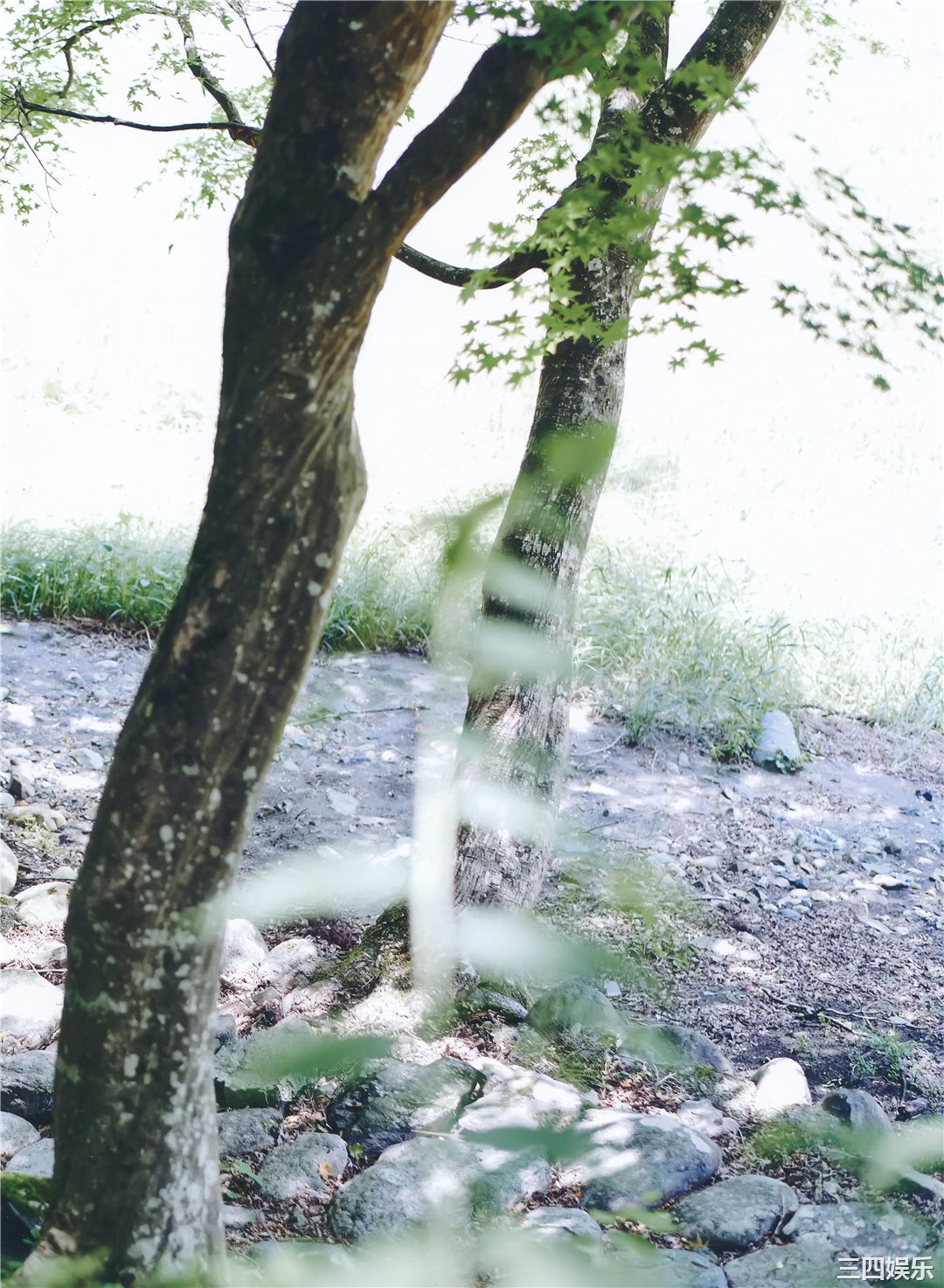 吉冈里帆写真集《里帆採取》高清全本