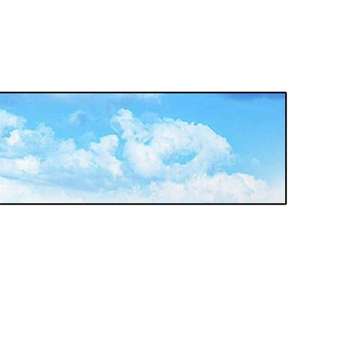 小镇上的女人们/她们的小秘密