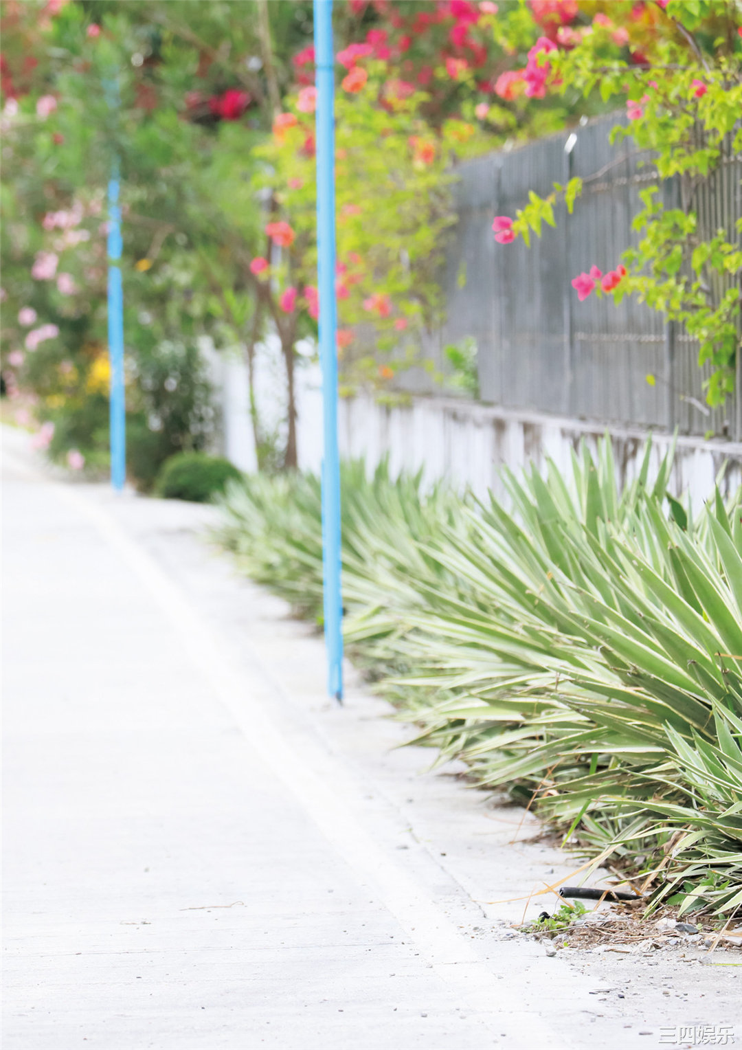 天羽希纯1ST写真集《A…？》高清全本