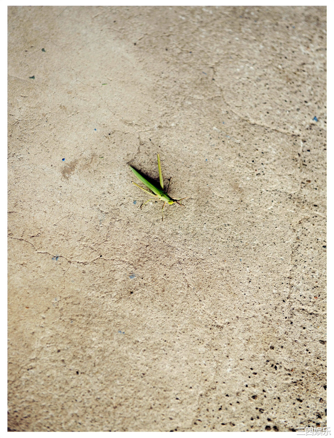 乃木坂46写真集《「初森ベマーズ」 電子写真集 Vol.2》高清全本