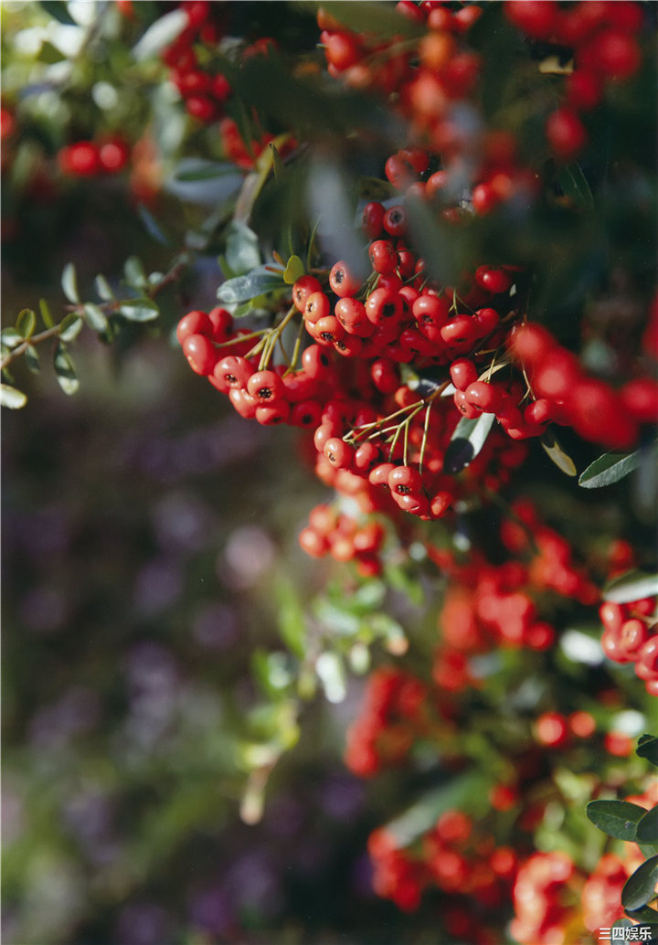 永尾玛利亚写真集《ヤバイ! まりや。》高清全本